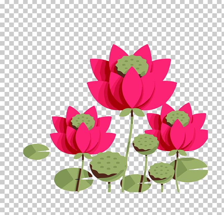 Nelumbo Nucifera Paper Drawing Png Clipart Aquatic Plant Art