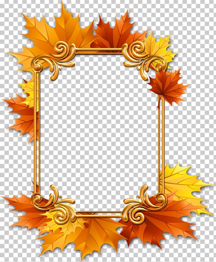 Frames Maple Leaf Window Png Clipart Cut Flowers Decor Digital