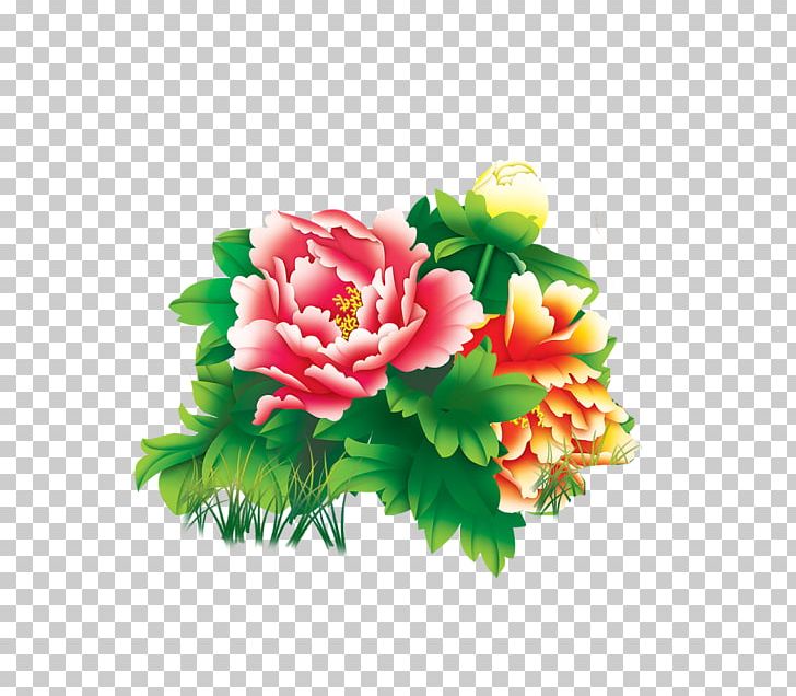 Moutan Peony Png Clipart Adobe Illustrator Annual Plant Cut Flowers