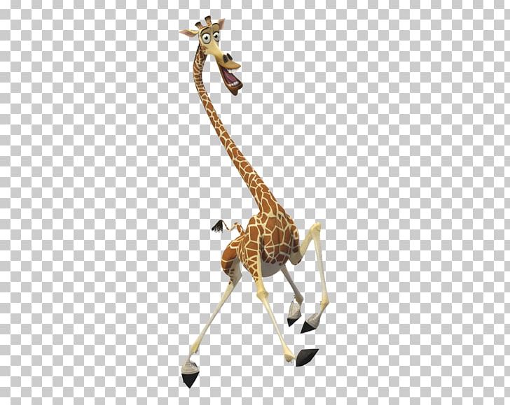 Melman Gloria Alex Madagascar Dreamworks Animation Png Clipart Film