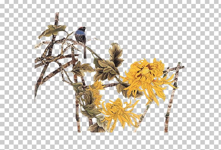Chrysanthemum Bird-and-flower Painting PNG, Clipart, 3d Computer Graphics, Bird, Birdandflower Painting, Branch, Chrysanthemum Chrysanthemum Free PNG Download