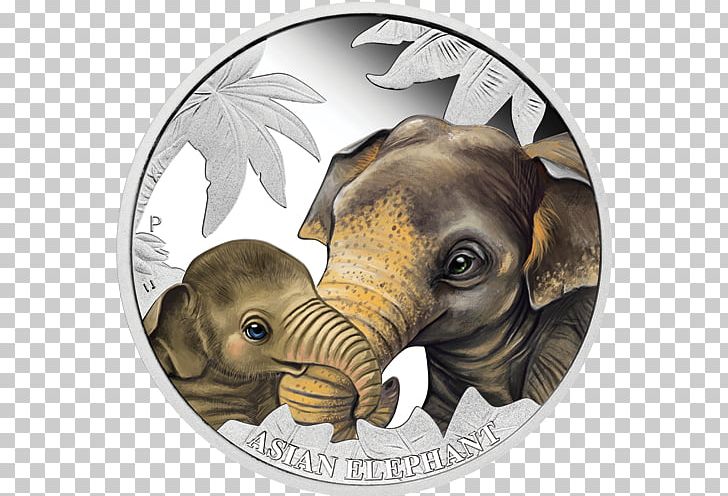 Commemorative Coin Perth Mint Tuvalu Indian Elephant PNG, Clipart, Asian Elephant, Coin, Collecting, Commemorative Coin, Elephant Free PNG Download