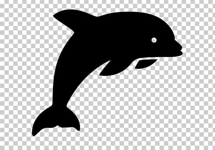 Computer Icons Dolphin PNG, Clipart, Andro, Animals, Beak, Black, Black And White Free PNG Download
