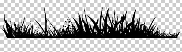Grass PNG, Clipart, Black And White, Black Grass, Computer Wallpaper, Depositphotos, Download Free PNG Download