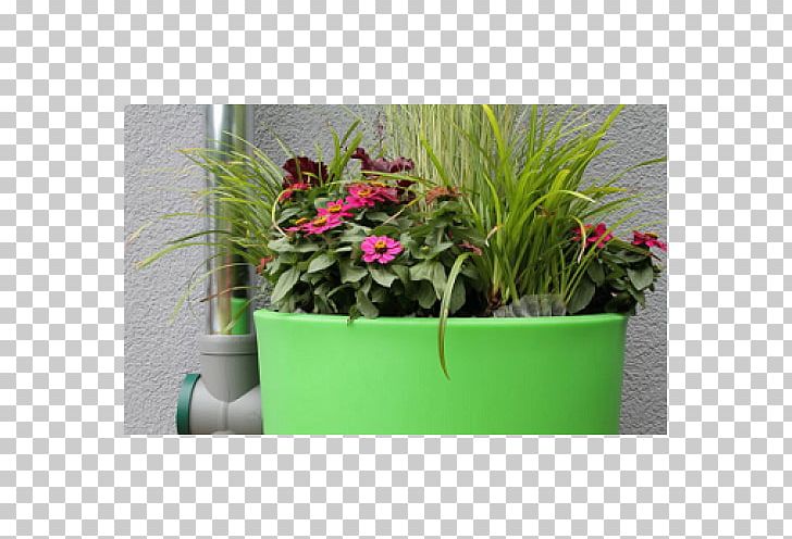 Rain Barrels Rainwater Harvesting Storage Tank Flowerpot PNG, Clipart, Barrel, Eau Pluviale, Flora, Flower, Flowerpot Free PNG Download