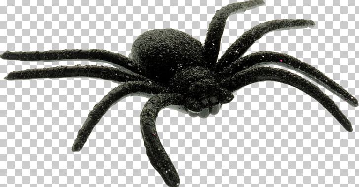 Spider Web Arachne PNG, Clipart, Arachne, Arachnid, Arthropod, Button, Computer Icons Free PNG Download
