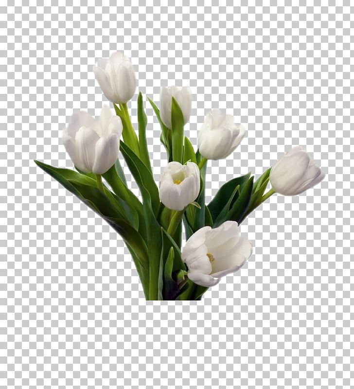 Tulip Flower Bouquet White Cut Flowers PNG, Clipart, Art, Artificial Flower, Color, Decorative Elements, Elements Free PNG Download