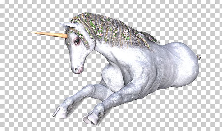 Unicorn Horn Drawing Horse Fairy Tale PNG, Clipart, Drawing, Fairy, Fairy Tale, Fantasy, Fictional Character Free PNG Download