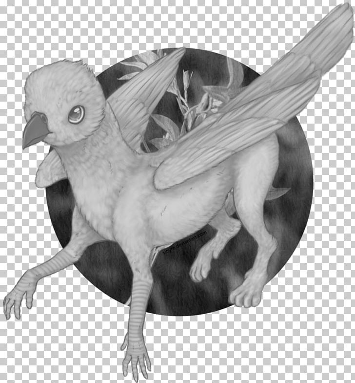 Beak Bird Of Prey Feather Legendary Creature PNG, Clipart,  Free PNG Download