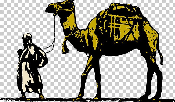 Dromedary Free Content PNG, Clipart, 3d Animation, Animal, Animals, Animation, Anime Character Free PNG Download