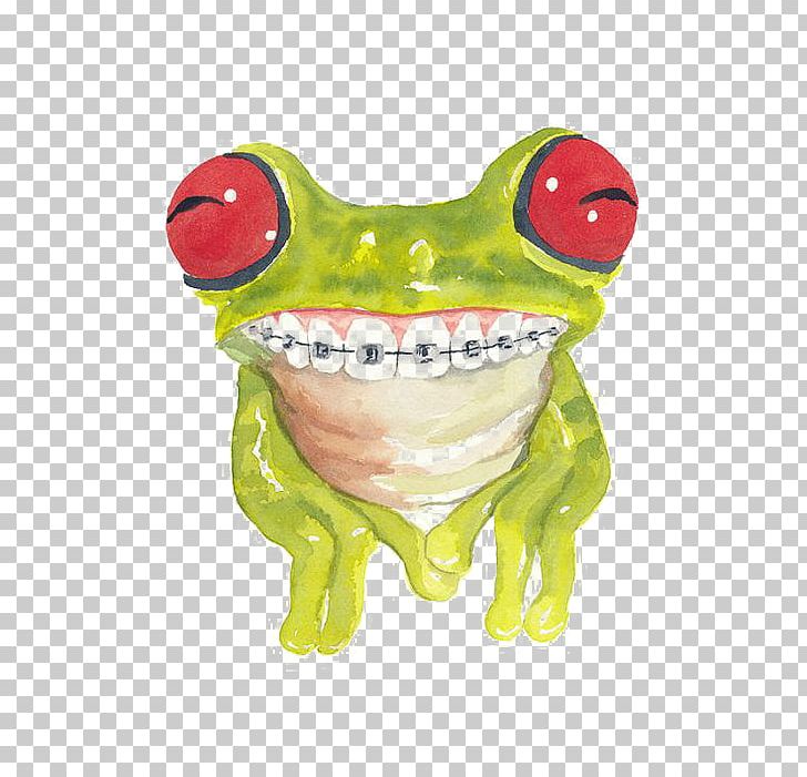 Frog Cat Watercolor Painting Dental Braces PNG, Clipart, Amphibian, Animal, Animals, Aquarelldruck, Cartoon Free PNG Download