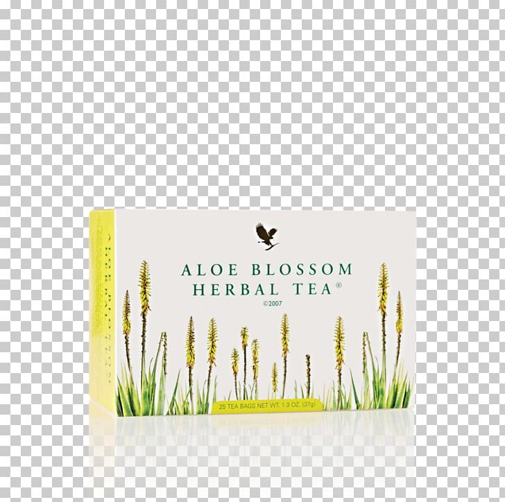 Herbal Tea Aloe Vera Forever Living Products PNG, Clipart, Aloe, Aloe Vera, Blossom, Brand, Caffeine Free PNG Download