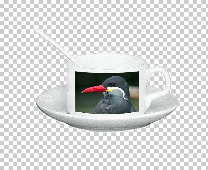 Heureka.cz Mug Plate Beak Diameter PNG, Clipart, Aperiodic Set Of Prototiles, Beak, Bird, Cup, Diameter Free PNG Download