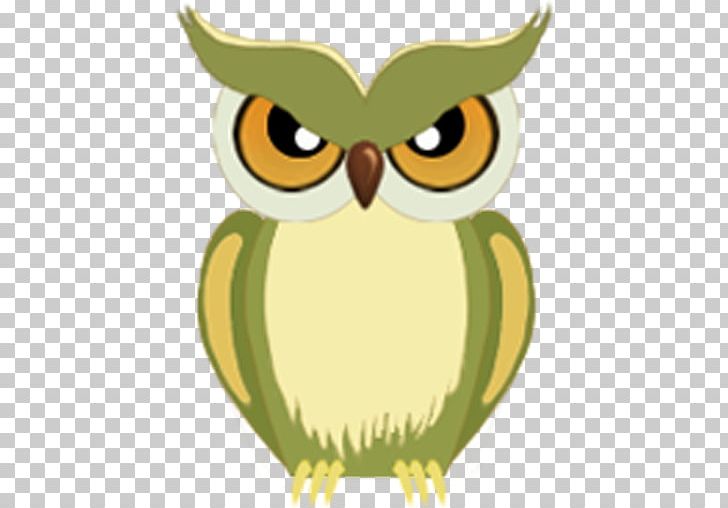 Owl Illustration Green Beak PNG, Clipart, Animals, Beak, Bird, Bird Of Prey, Card Tong Free PNG Download