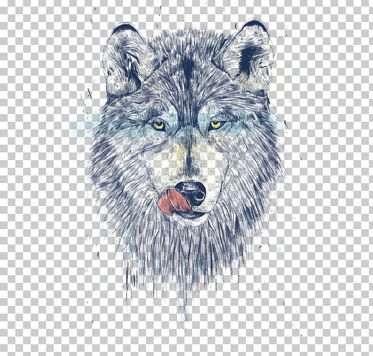 Alaskan Tundra Wolf Coyote Artist PNG, Clipart, Alaskan Tundra Wolf, Art, Artist, Bear, Canis Lupus Tundrarum Free PNG Download