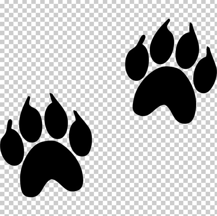 Animal Track Footprint Paw Dog PNG, Clipart, Animal, Animals, Animal Track, Apes, Art Free PNG Download