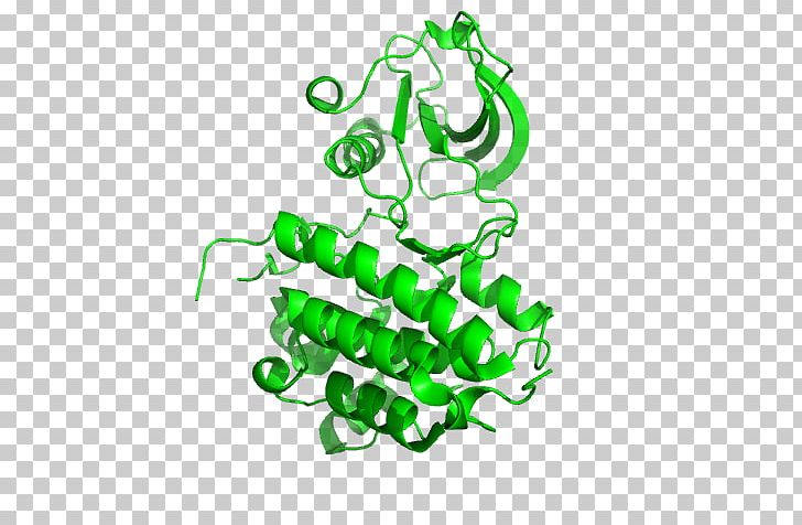 Ephrin Receptor EPH Receptor A5 EPH Receptor A4 PNG, Clipart, Area, Cell Surface Receptor, Class, Eph Receptor A4, Eph Receptor A5 Free PNG Download