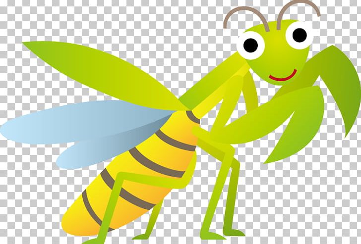 Insect Mantis PNG, Clipart, Animals, Cartoon, Character, Download, Fauna Free PNG Download