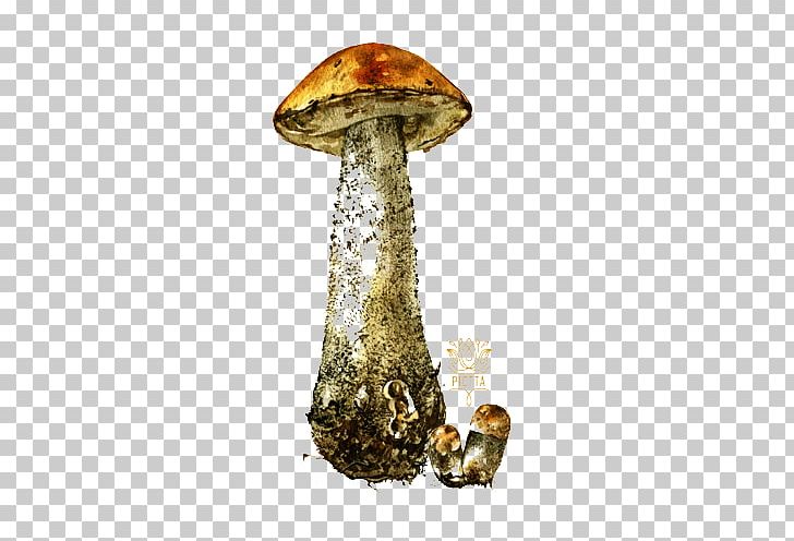 Mushroom Watercolor Painting Illustration PNG, Clipart, Delicious, Delicious Mushroom, Encapsulated Postscript, Flower Pattern, Food Free PNG Download