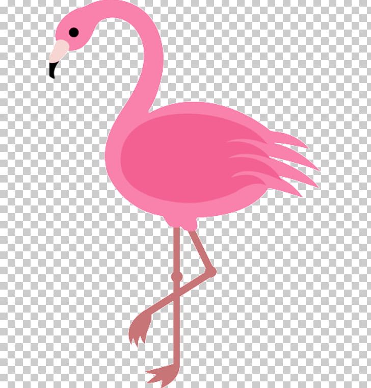 Cartoon Drawing Flamingo PNG, Clipart, Animals, Art, Beak, Bird, Cartoon Free PNG Download