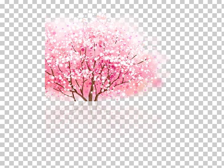 Cherry Blossom Cerasus PNG, Clipart, Beautiful, Beautiful Cherry Blossoms, Beauty, Beauty Salon, Blossom Free PNG Download