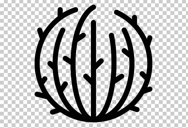 Computer Icons Tumbleweed Cactaceae PNG, Clipart, Black And White, Cactaceae, Circle, Clip Art, Computer Icons Free PNG Download