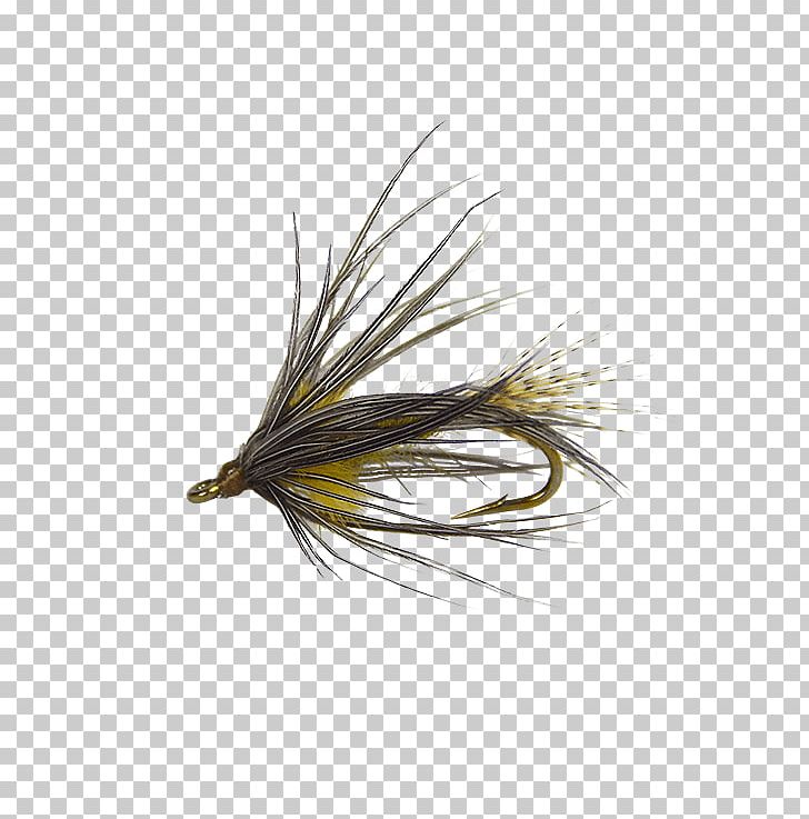Artificial Fly Hackle Holly Flies Quill Corp Stock Keeping Unit PNG, Clipart, Artificial Fly, Fishing Bait, Hackle, Holly Flies, Mount Holly Springs Free PNG Download