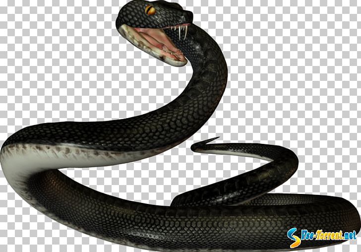 Snake Reptile PNG, Clipart, Animals, Computer Icons, Data, Data Compression, Elapidae Free PNG Download