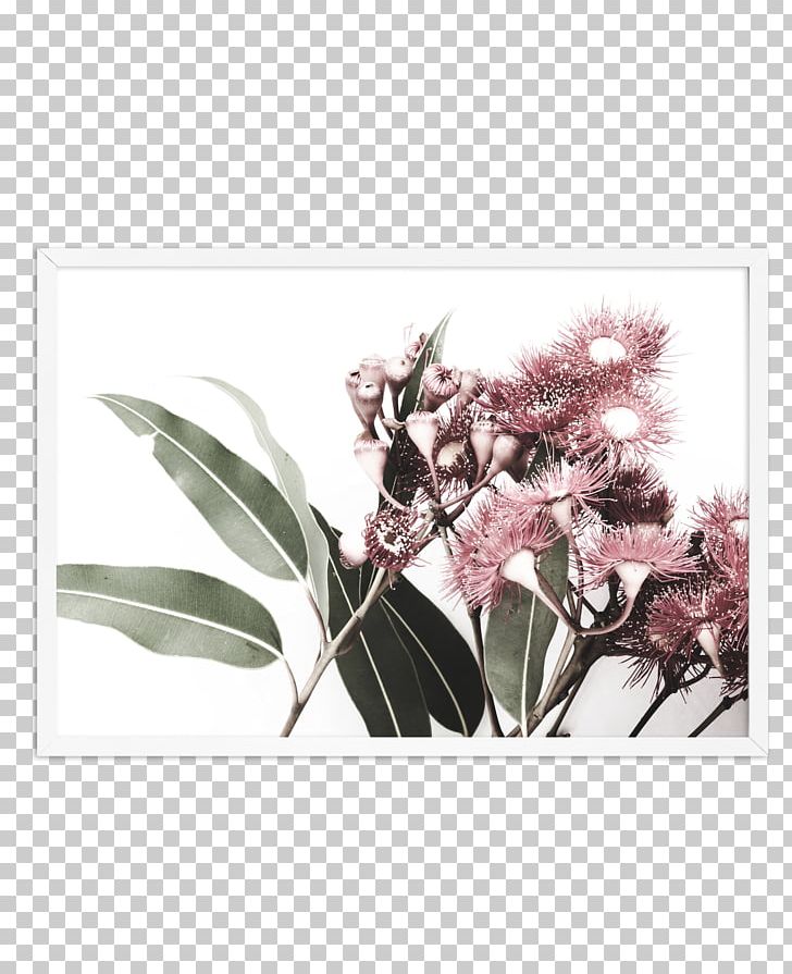 Gum Trees Floral Design Flower Blossom Printmaking PNG, Clipart, Art, Blossom, Branch, Corymbia Ficifolia, Drawing Free PNG Download