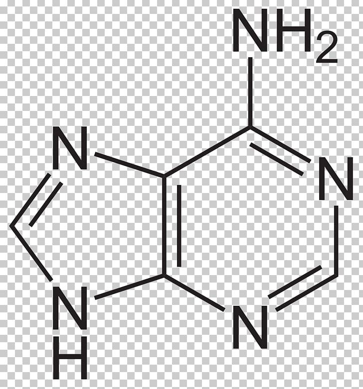 Adenine Nitrogenous Base Purine Nucleobase Guanine PNG, Clipart, Angle, Area, Base, Base Pair, Black Free PNG Download