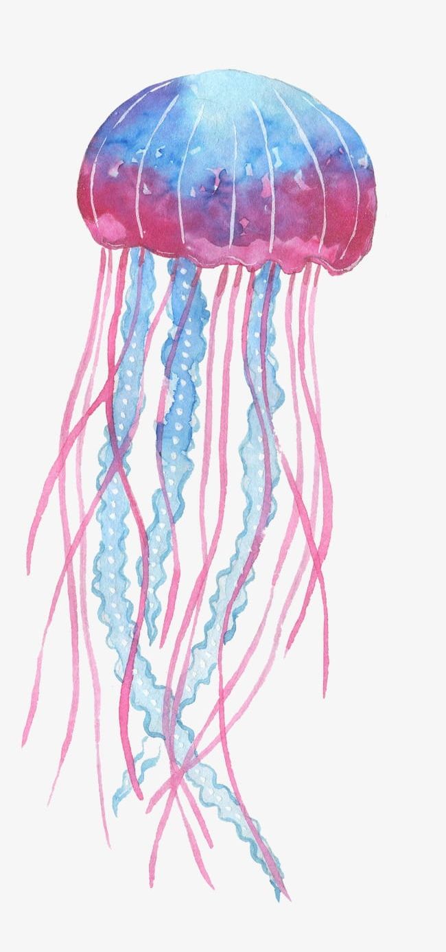 Blue Pink Jellyfish PNG, Clipart, Animals, Blue, Blue Clipart, Blue Pink, Cartoon Free PNG Download
