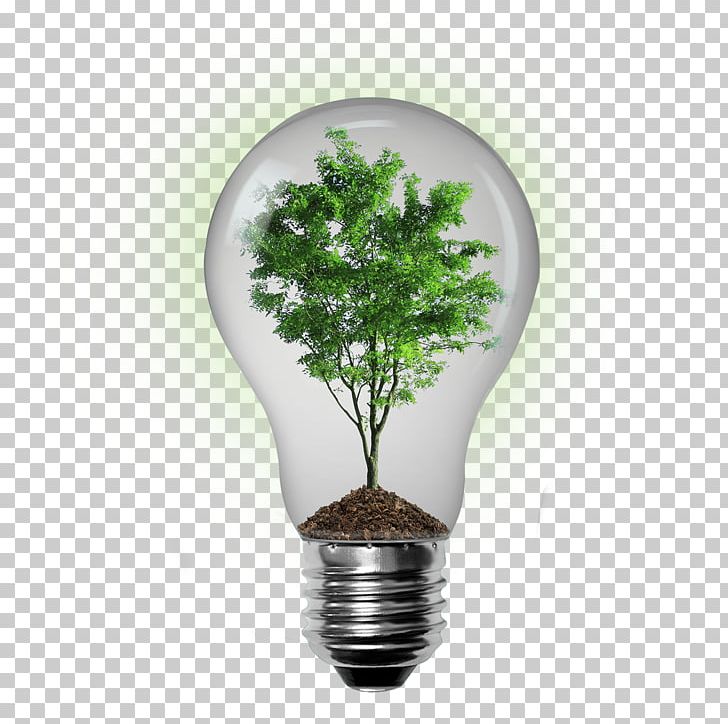 Environmentally Friendly Sustainable Living Sustainability Natural Environment PNG, Clipart, Efficient Energy Use, Energy, Energy Conservation, Environment, Environmental Issue Free PNG Download