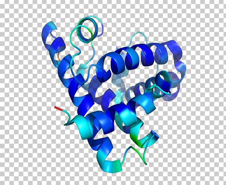 Protein Structure Myoglobin Peptide PNG, Clipart, Amino Acid, Bnl, Body Jewelry, Line, Molecule Free PNG Download