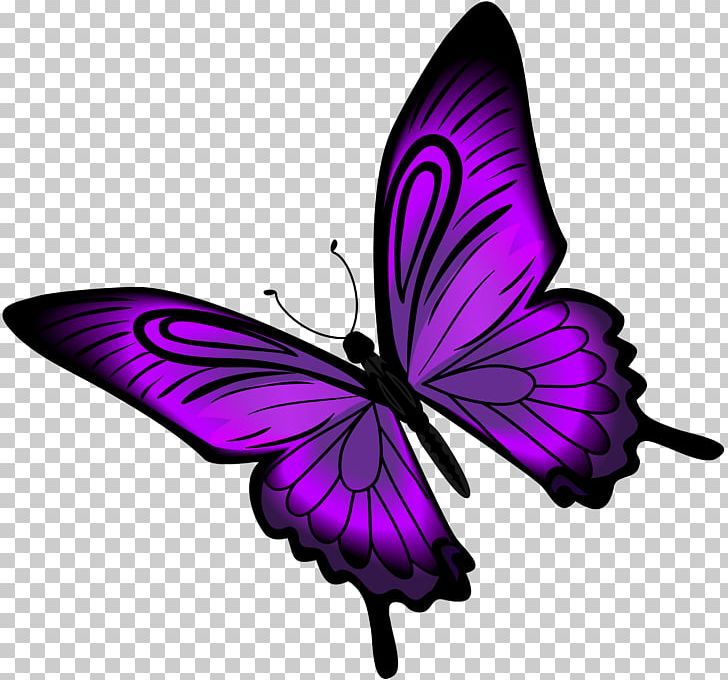 Purple Butterfly PNG, Clipart, Brush Footed Butterfly, Butterflies, Butterflies And Moths, Butterfly, Clip Art Free PNG Download