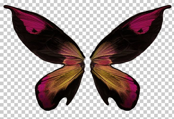 Butterfly Wing Collage PNG, Clipart, Arthropod, Brush Footed Butterfly, Butterflies And Moths, Butterfly, Collage Free PNG Download