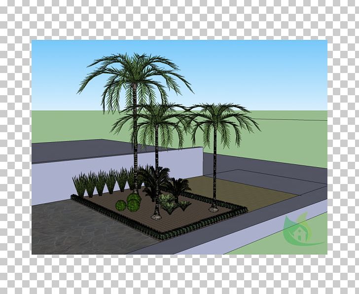 Palm Trees Landscaping Land Lot Real Property PNG, Clipart, Arecales, Grass, Land Lot, Landscape, Landscaping Free PNG Download
