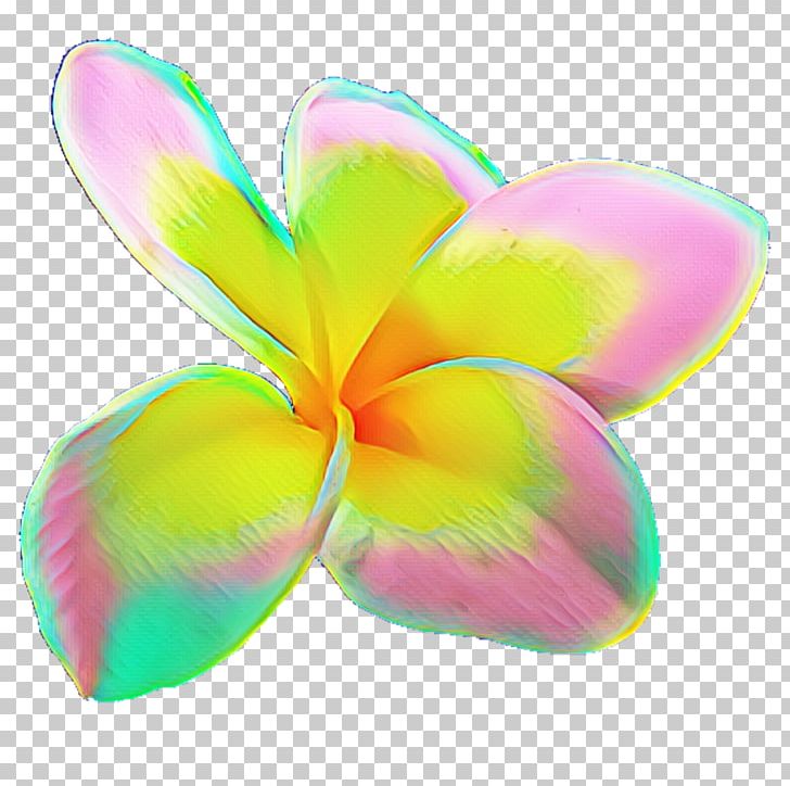 Petal PNG, Clipart, Butterfly, Flower, Moths And Butterflies, Others, Petal Free PNG Download