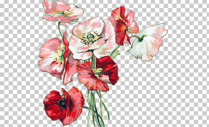 Flower Bouquet Poppy Floral Design Wildflower PNG, Clipart, Artificial Flower, Common Poppy, Cut Flowers, Drawing, Flora Free PNG Download