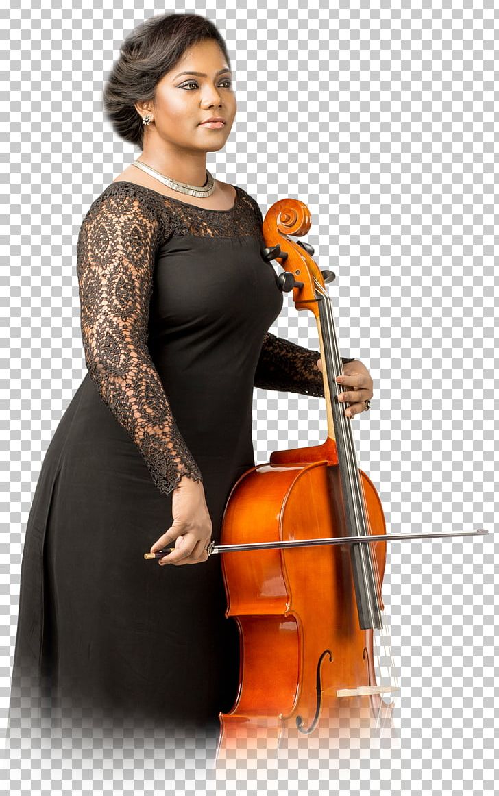 Violone Double Bass Cello Violin Viola PNG, Clipart, Bass Guitar, Bowed String Instrument, Cellist, Cello, Double Bass Free PNG Download