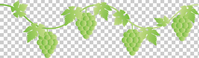 Grape Grapes Fruit PNG, Clipart, Flower, Food, Fruit, Gooseberry, Grape Free PNG Download