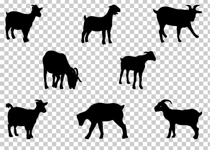 Boer Goat Pygmy Goat Nigerian Dwarf Goat Anglo-Nubian Goat PNG, Clipart, Anglonubian Goat, Animals, Black And White, Boer Goat, Cattle Like Mammal Free PNG Download