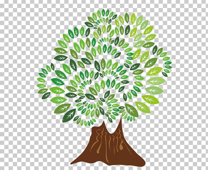 Tree Branch Salix Alba PNG, Clipart, Agac, Bark, Branch, Digital Image, Drawing Free PNG Download