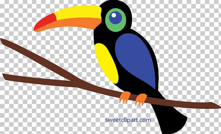 Bird Toucan PNG, Clipart, Animals, Beak, Bird, Clip Art, Emerald Toucanet Free PNG Download