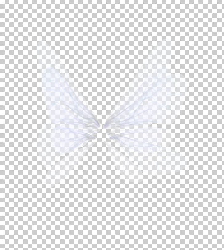 Butterfly PhotoScape Child PNG, Clipart,  Free PNG Download