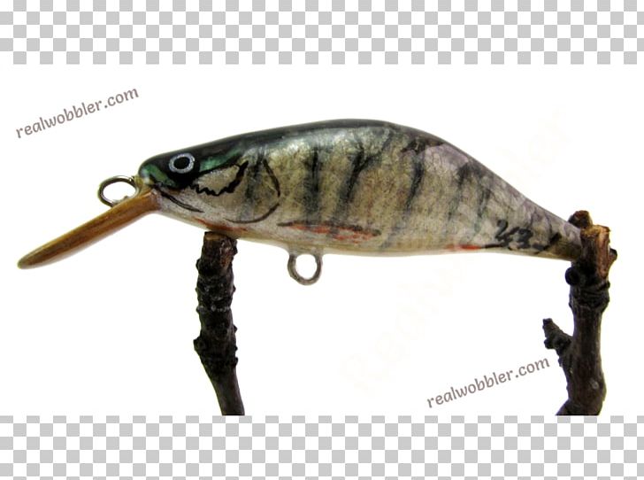 Fishing Baits & Lures Northern Pike Perch PNG, Clipart, Angling, Asp, Bait, Common, Common Rudd Free PNG Download