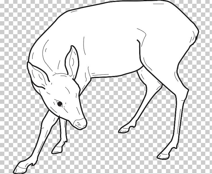 Reindeer Elk Line Art PNG, Clipart, Animal, Animals, Antler, Area, Artwork Free PNG Download