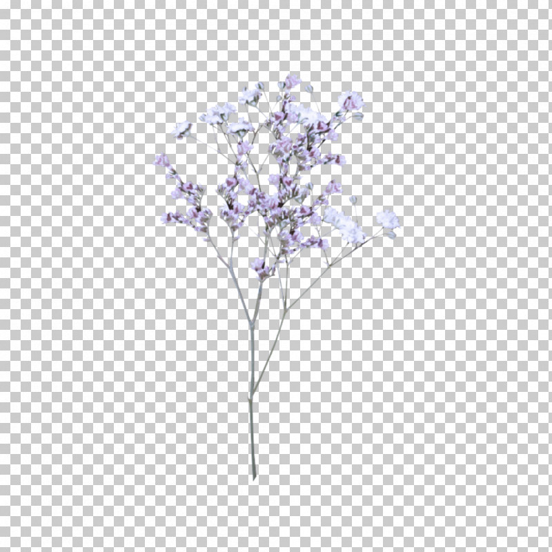 Tree Lilac Branch Plant Purple PNG, Clipart, Branch, Flower, Leaf, Lilac, Plant Free PNG Download