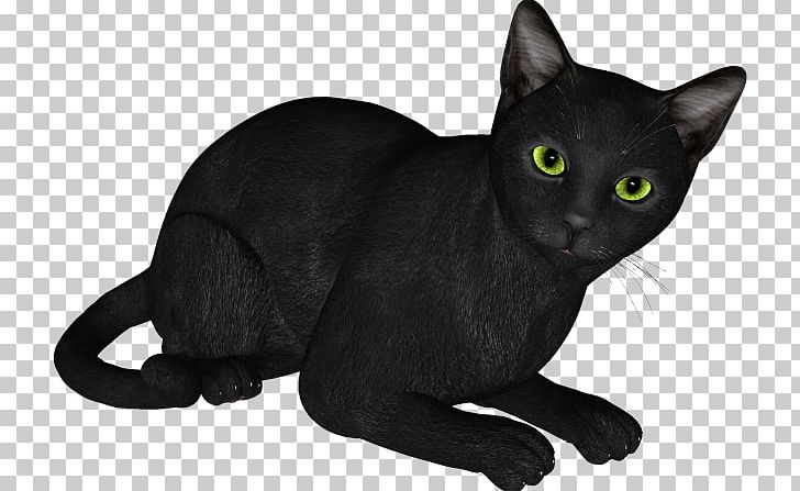 Black Cat Bombay Cat Russian Blue Korat Domestic Short-haired Cat PNG, Clipart, 3d Computer Graphics, Animaatio, Asian, Black, Black Cat Free PNG Download