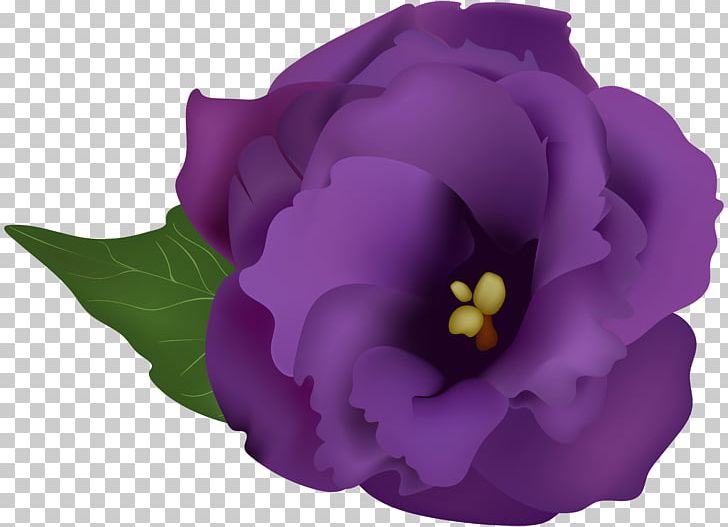 Herbaceous Plant Violet Clipart PNG, Clipart, Clipart, Clip Art, Drawing, Flower, Flowering Plant Free PNG Download