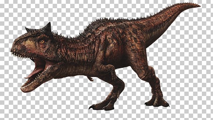 Velociraptor Carnotaurus Jurassic World Evolution Tyrannosaurus Jurassic Park PNG, Clipart, Animal Figure, Carnotaurus, Dinosaur, Extinction, Film Free PNG Download